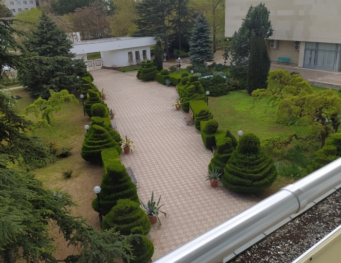 Джуниор сюит 2-местный 2-комнатный с балконом и душ.кабиной №403 ЮГ корпус 2 - Санаторий «Первомайский» Евпатория